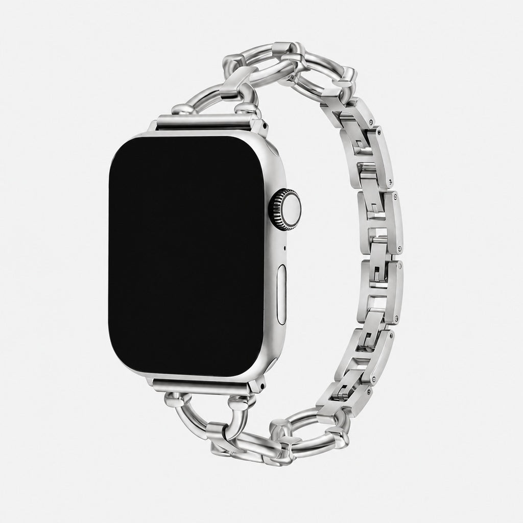 Anello Link Band in Silver for Apple Watch