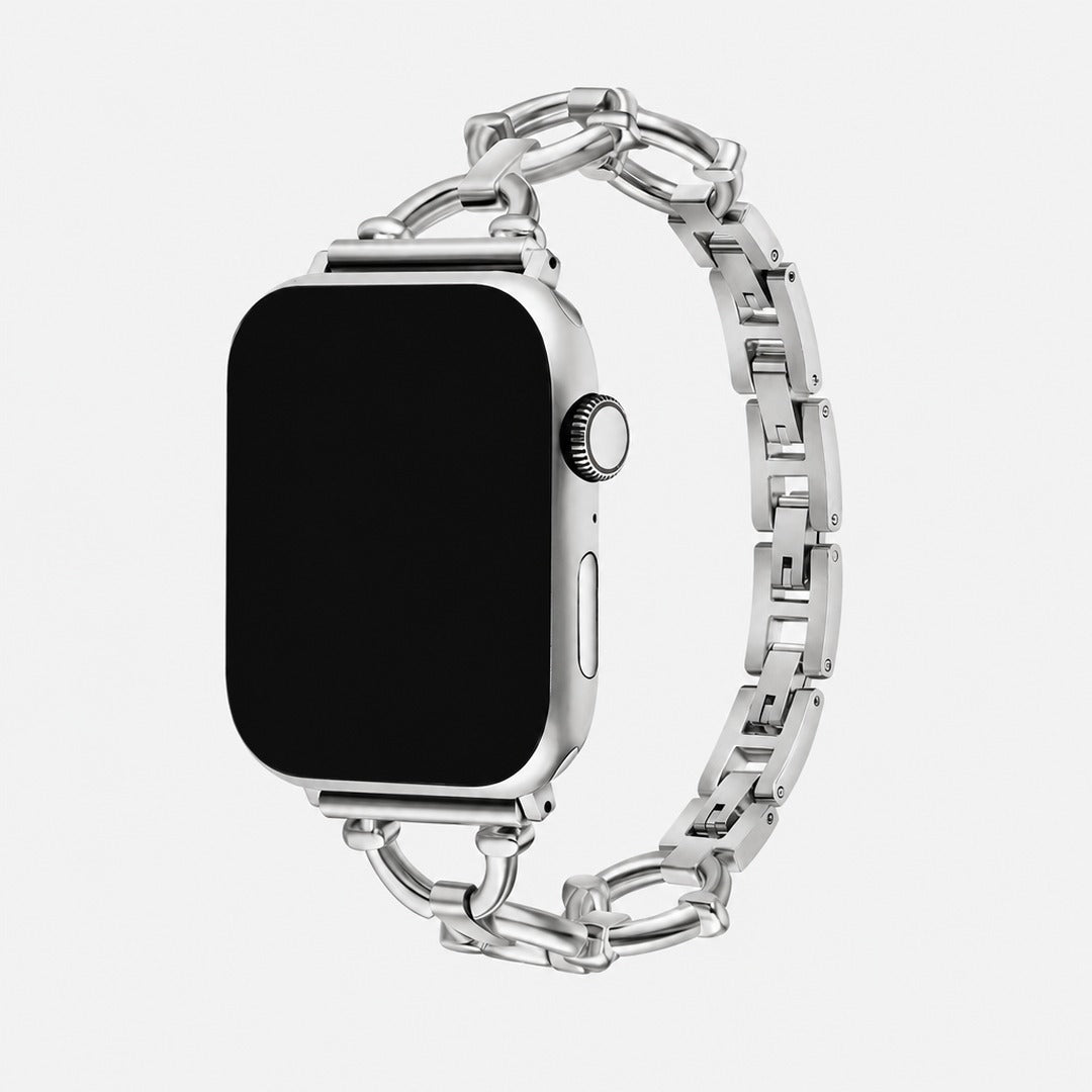 Anello Link Band in Silver for Apple Watch