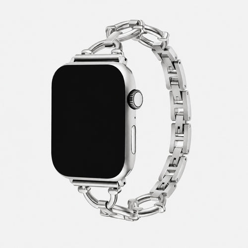 Anello Link Band in Silver for Apple Watch